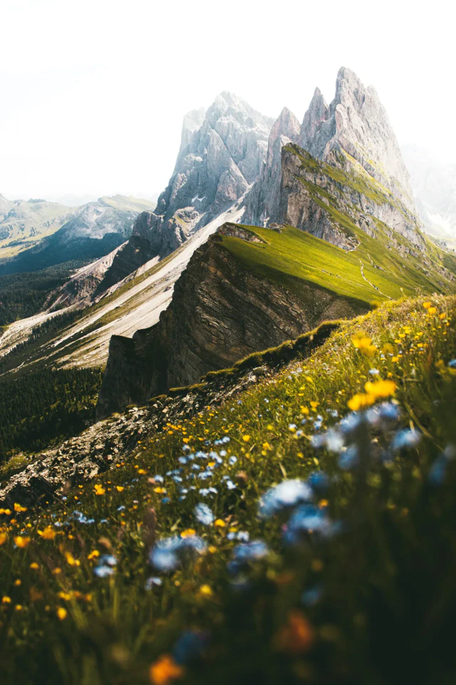 Paysage de montagne avec des sommets escarpés et une prairie fleurie au premier plan