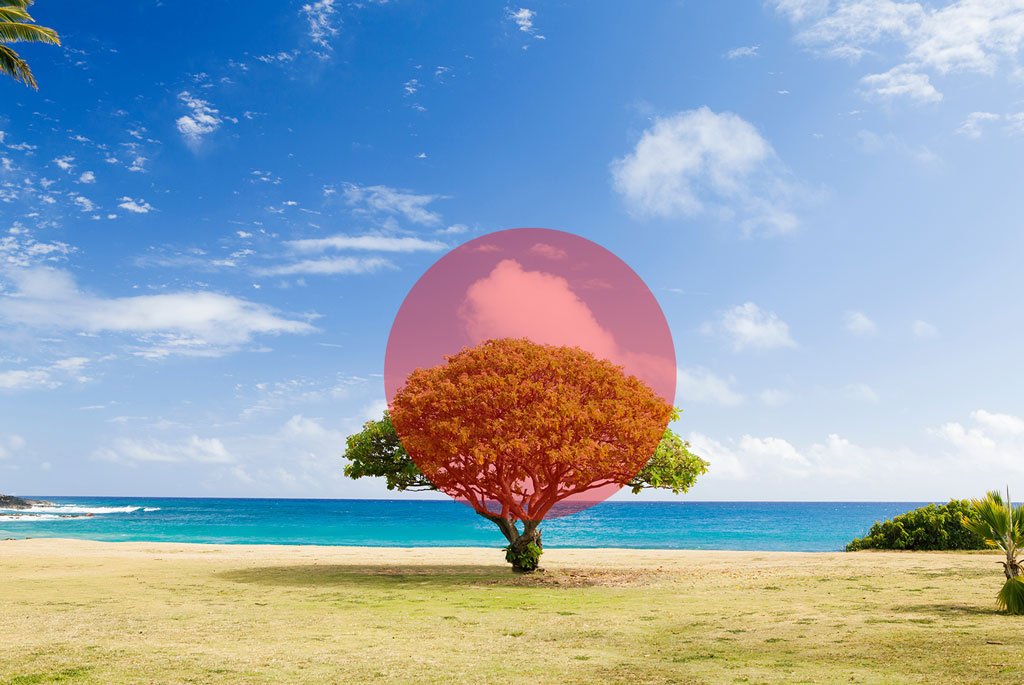 Schéma de la mesure centrale pondérée : la lecture privilégie le centre du cadre