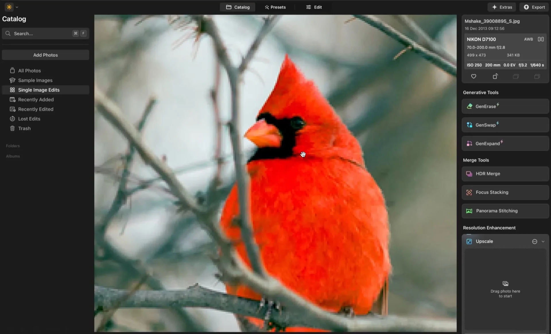 Agrandissement d'une photo sans perte de qualité avec Upscale AI de Luminar Neo