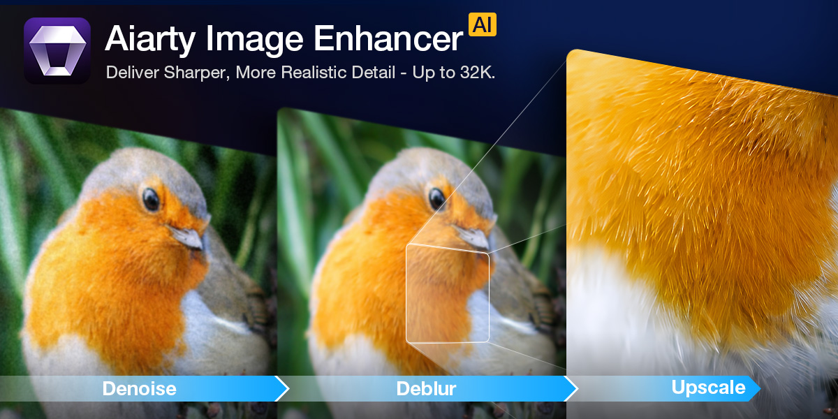 Outil d'amélioration d'image basé sur l'IA illustrant les étapes de débruitage, de correction de flou et d'agrandissement sur une photo d'oiseau.