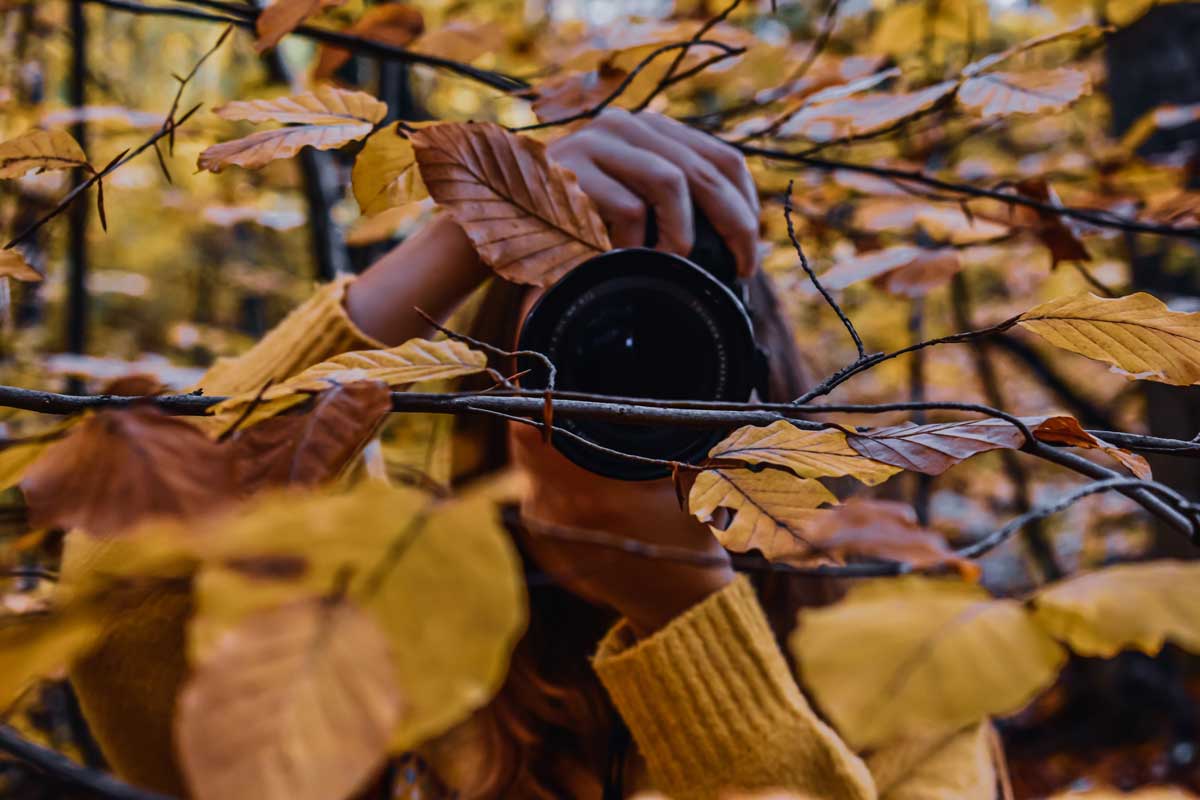 Randonnée photo en forêt d'automne