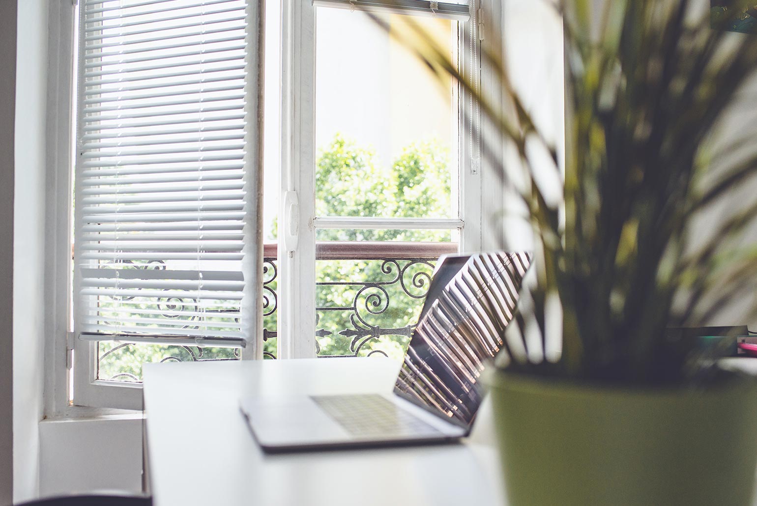 Espace de travail lumineux avec un ordinateur portable près d'une fenêtre ouverte avec des stores et une plante verte