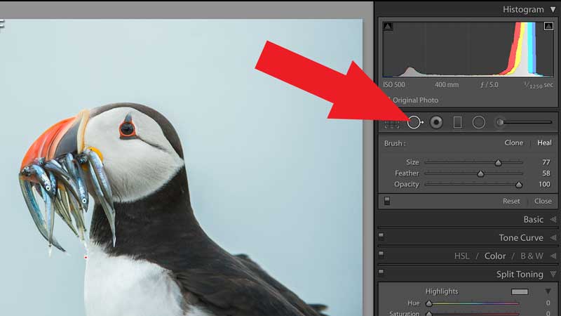 Sélection de l'outil Suppression des défauts dans le panneau Développement de Lightroom