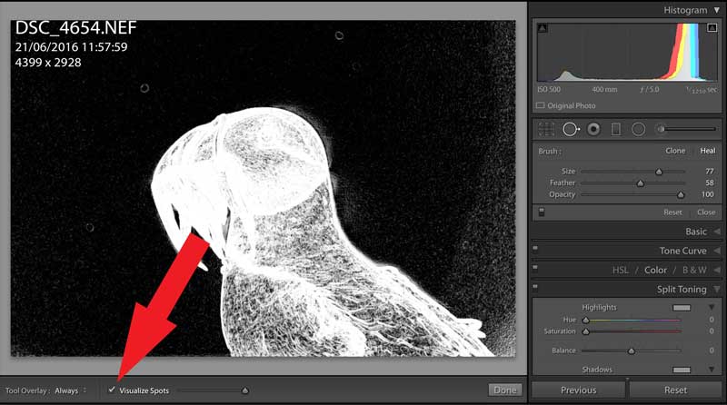 Activation de la case Visualiser les points et curseur de sensibilité dans Lightroom
