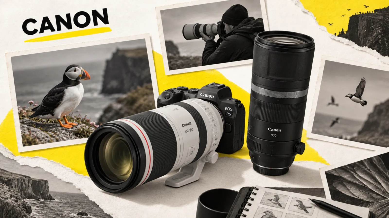 Illustration en collage photographique de l’article « Meilleur objectif animalier Canon : le guide par allonge et budget »