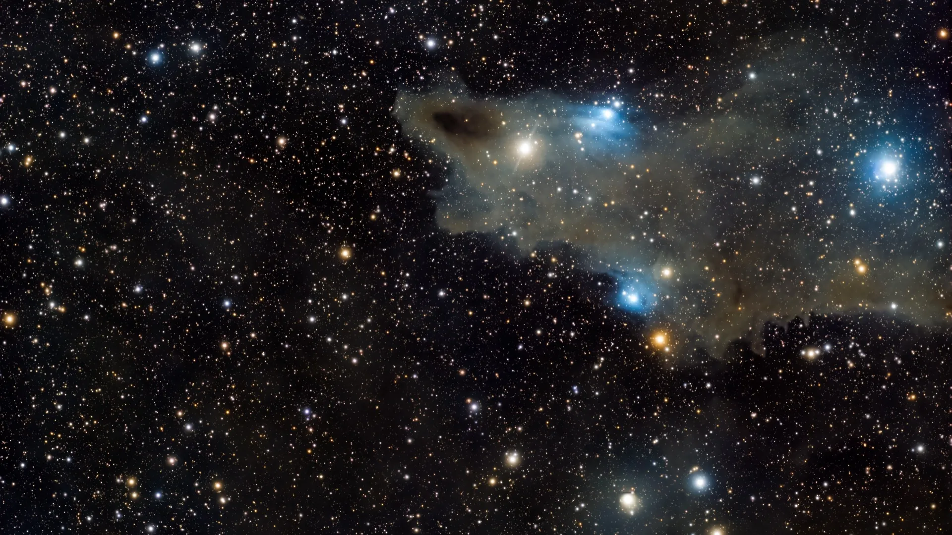 La nébuleuse du Requin (LDN 1235), nuage de poussière sombre dans la constellation de Céphée