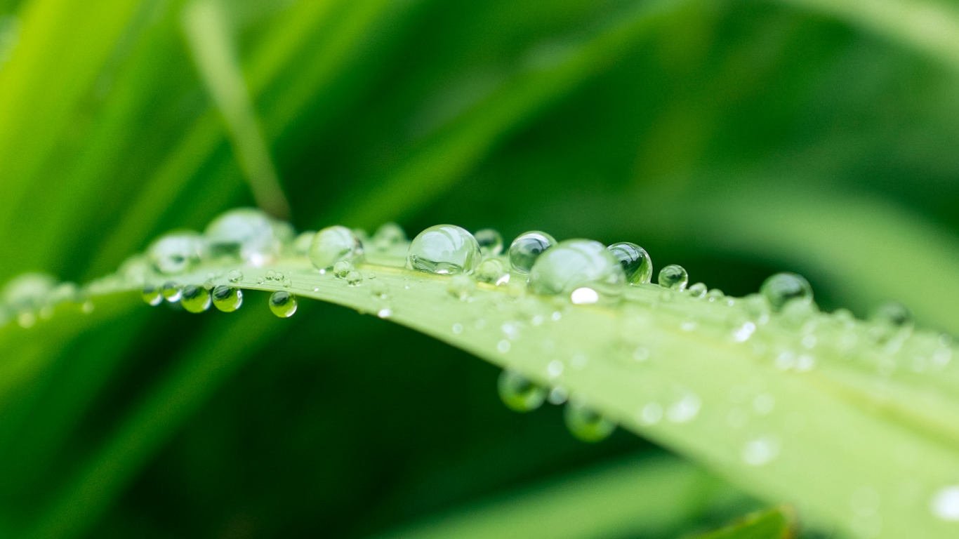 Objectif macro