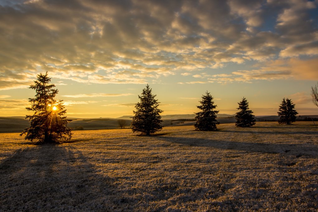 Composition soignée d'un coucher de soleil