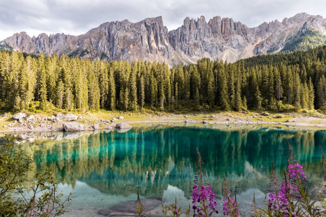 Lac turquoise entouré de forêts et montagnes dans un paysage alpin