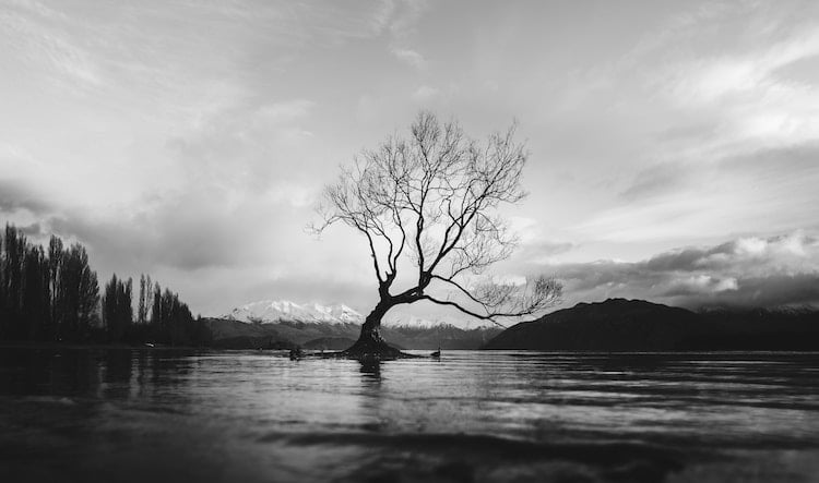 Photographie noir et blanc d'un paysage contrasté avec ciel sombre et premier plan lumineux